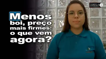 Boi gordo segue com preços firmes e menor disponibilidade, informa Isabela Zavatti, do CEPEA