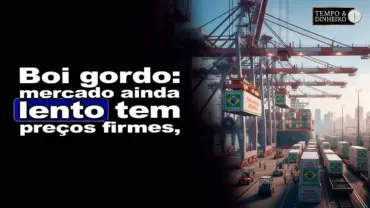 Boi gordo: mercado ainda lento tem preços firmes, informa Isabella Camargo