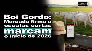 Boi gordo : o que esperar para início de 2026? Thiago Bernardino, do CEPEA, comenta