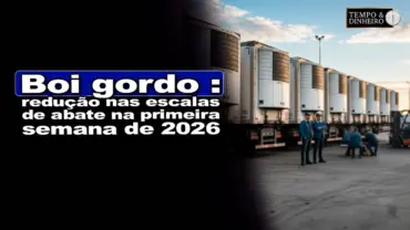 Boi gordo: redução nas escalas de abate na primeira semana de 2026, comenta Isabela Zavatti