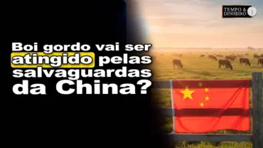 Boi gordo vai ser atingido pelas salvaguardas da China? Isabella Camargo, da HN, comenta
