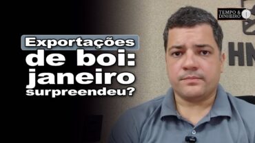 Boi gordo: veja os números dos embarques em janeiro com Hyberville Neto