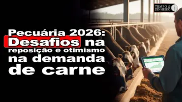 Pecuária 2026: Desafios na reposição e otimismo na demanda de carne