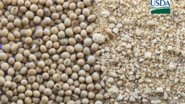 USDA anuncia venda de farelo de soja para Filipinas nesta sexta-feira