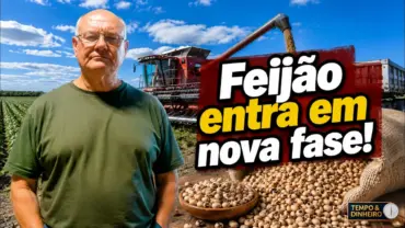 Depois dos R$ 500, mercado do feijão entra em fase de ajuste