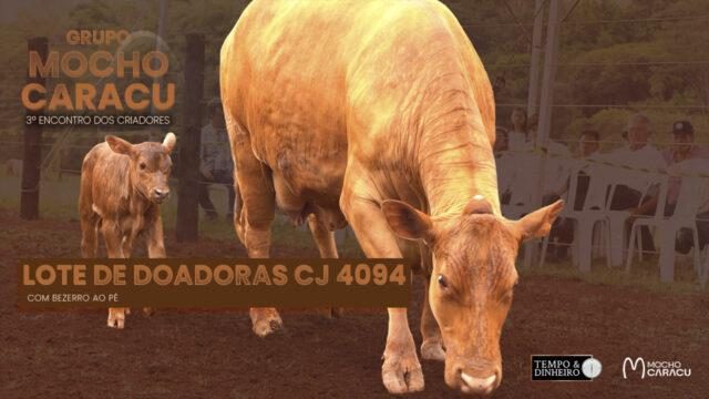 Lote de Doadoras CJ 4094 da Fazenda Diamante - 3º Encontro dos Criadores - Grupo Mocho Caracu