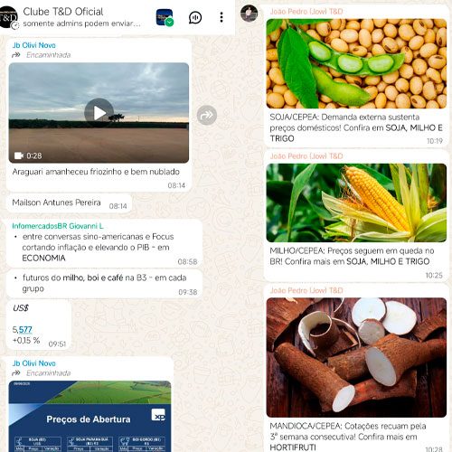 ilustra-geral - clube do t&d